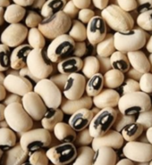 Beans (White)